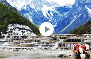 2017年jbo竞博科技团建-云南之旅